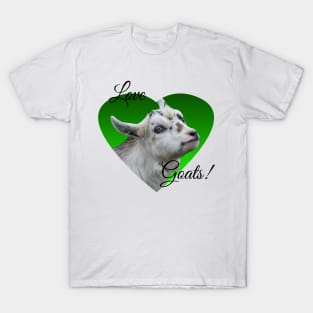 Pygmy Goat Kid T-Shirt